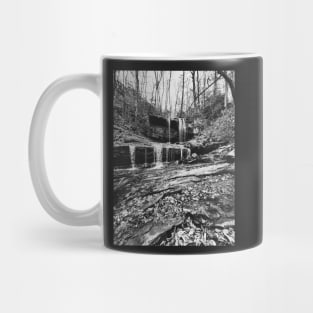 Grassy Creek Falls black and white Mug